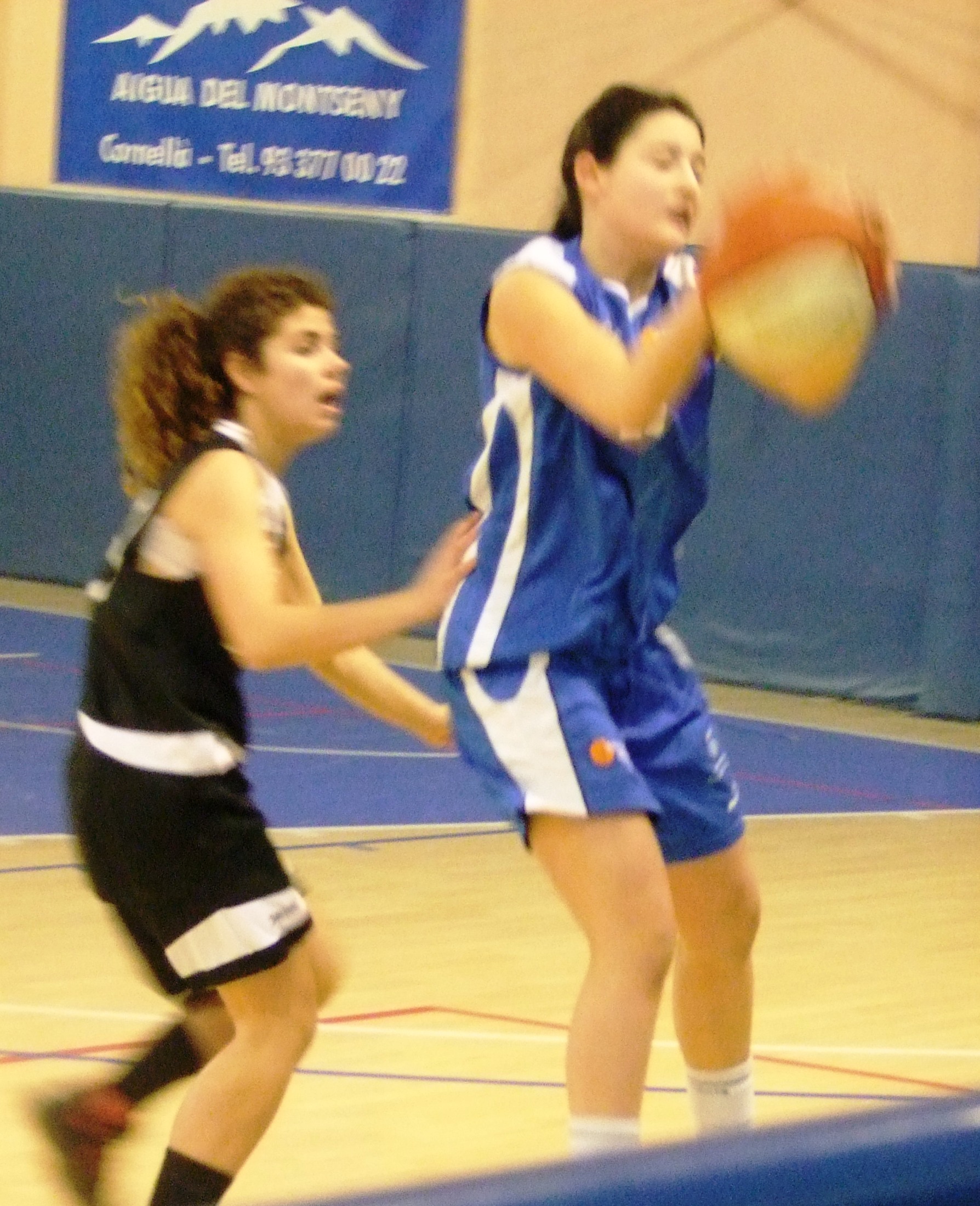 ALEXIA BASKET CORNELLA 006