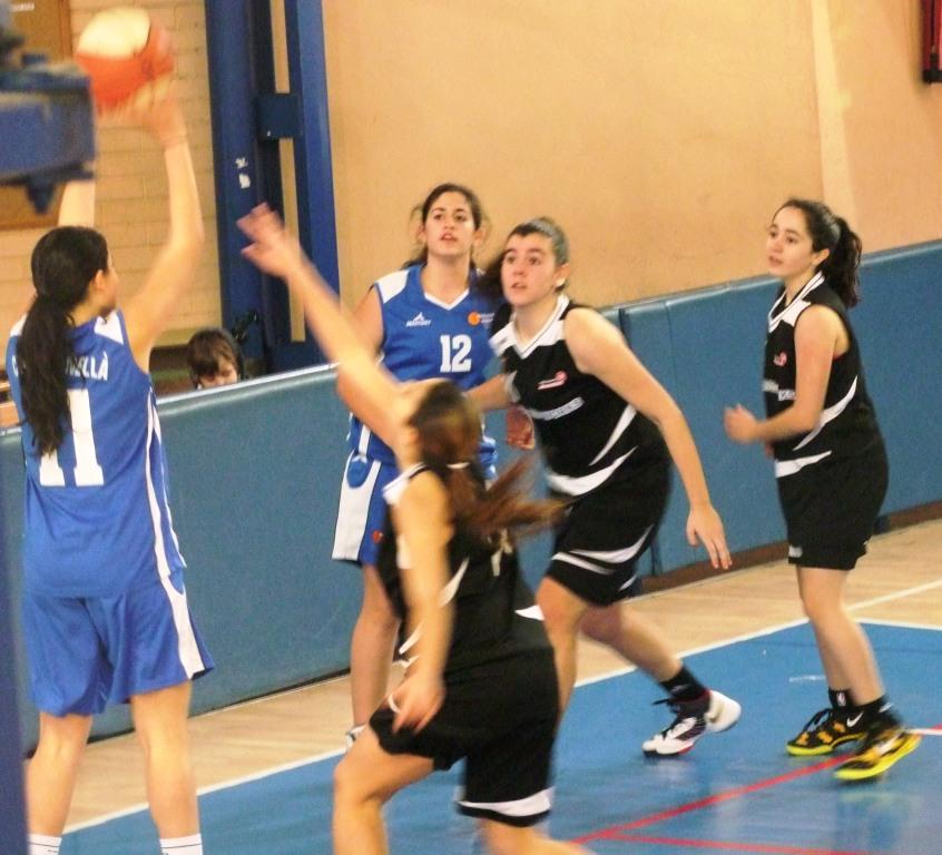 ALEXIA BASKET CORNELLA 035