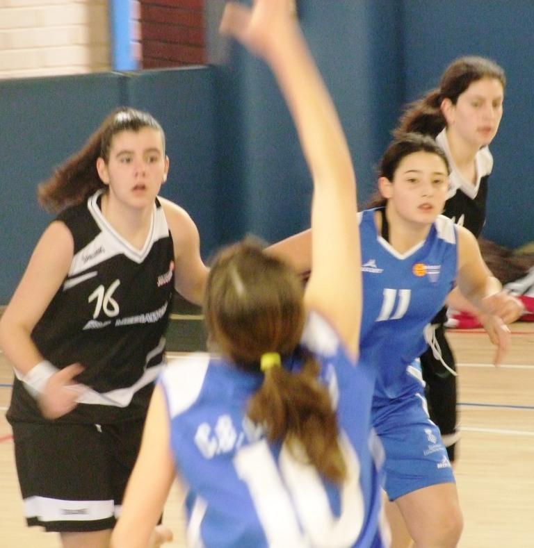 ALEXIA BASKET CORNELLA 038