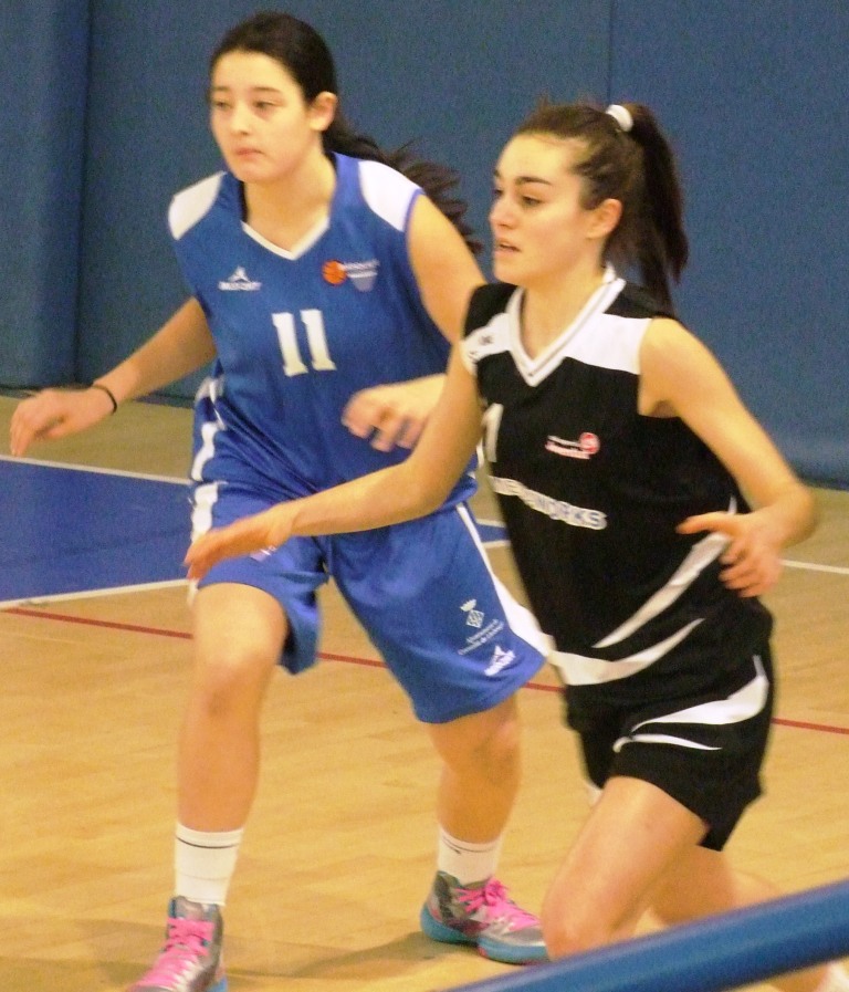 ALEXIA BASKET CORNELLA 053